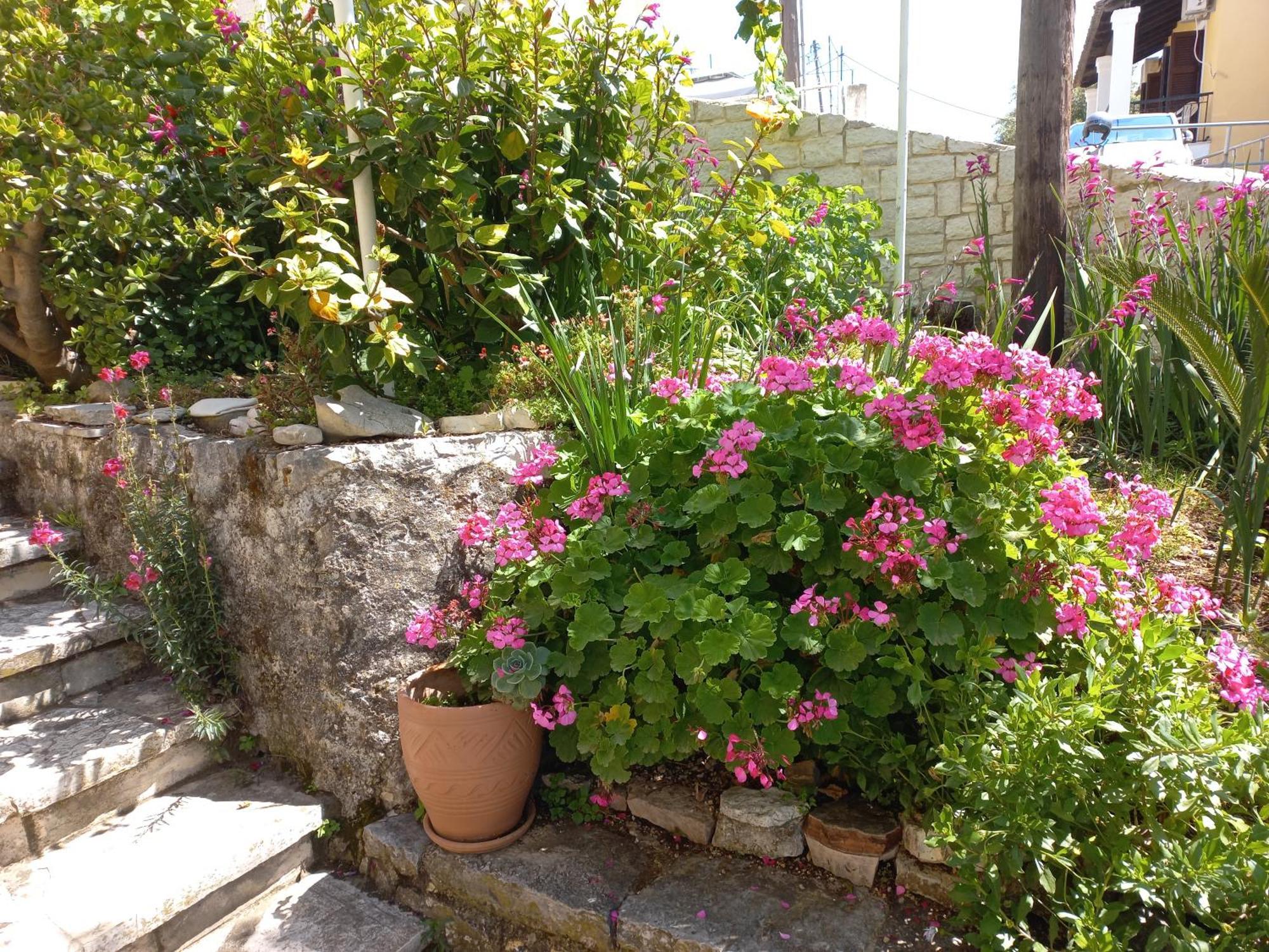 Oneiro House Apartment Kassiopi Luaran gambar