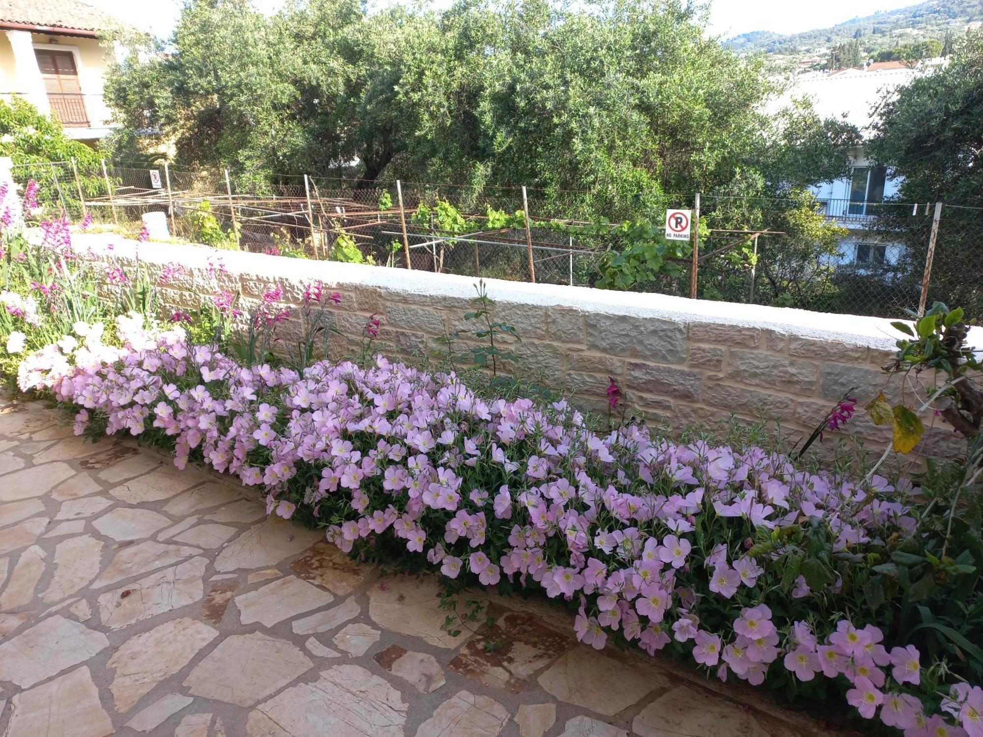 Oneiro House Apartment Kassiopi Luaran gambar